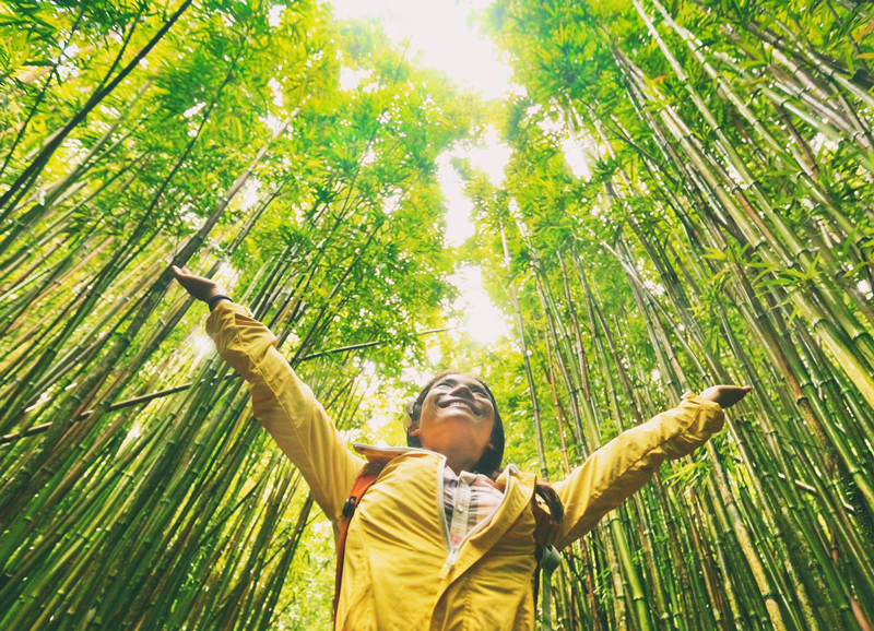 woman in bamboo