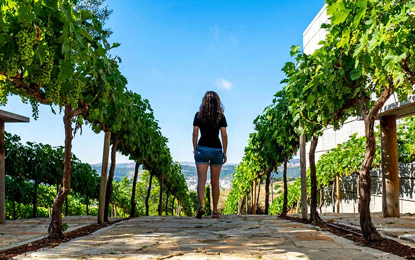 woman in vinyard