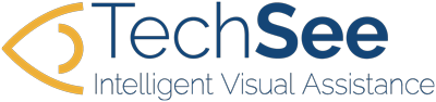 The Techsee company logo with Intelligent remote visual support.