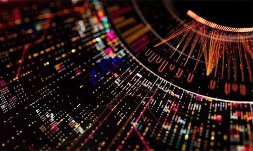 network design