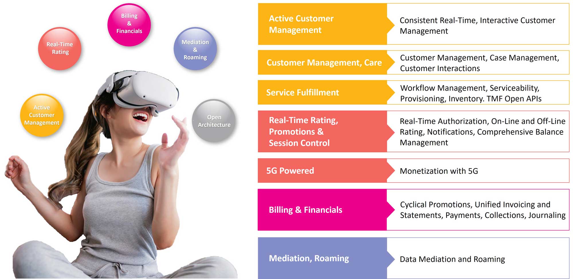 Infographic - Multiple Functional Domains – ONE Architecture