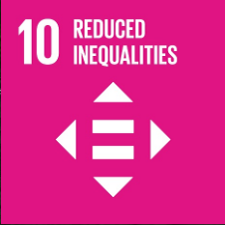 UN sustainability badge