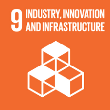 UN sustainability badge